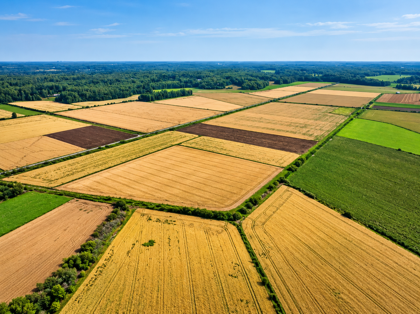 Managed farmland near Bangalore