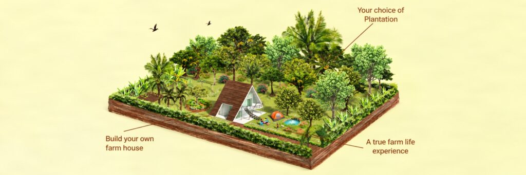 Managed-farmland-near-bangalore
